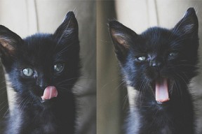 华体会app安装-运动员训练效果科学监测，如何界定运动训练科学监控