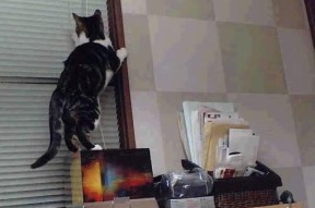 -赛事数据揭示团队配合默契度，赛事数据揭示团队配合默契度的方法