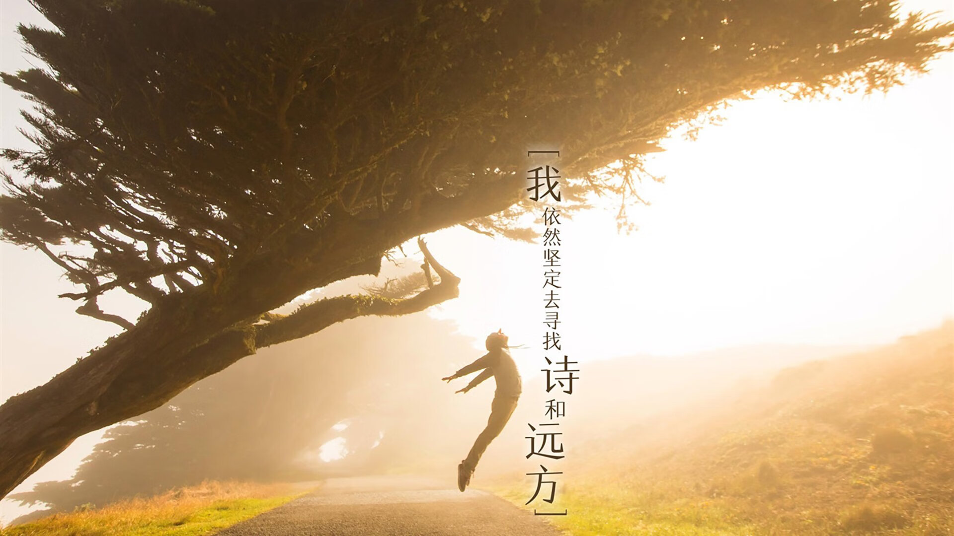 中下游球队是否更易爆发单点英雄逆袭剧情,足球上中下游球队怎么区分