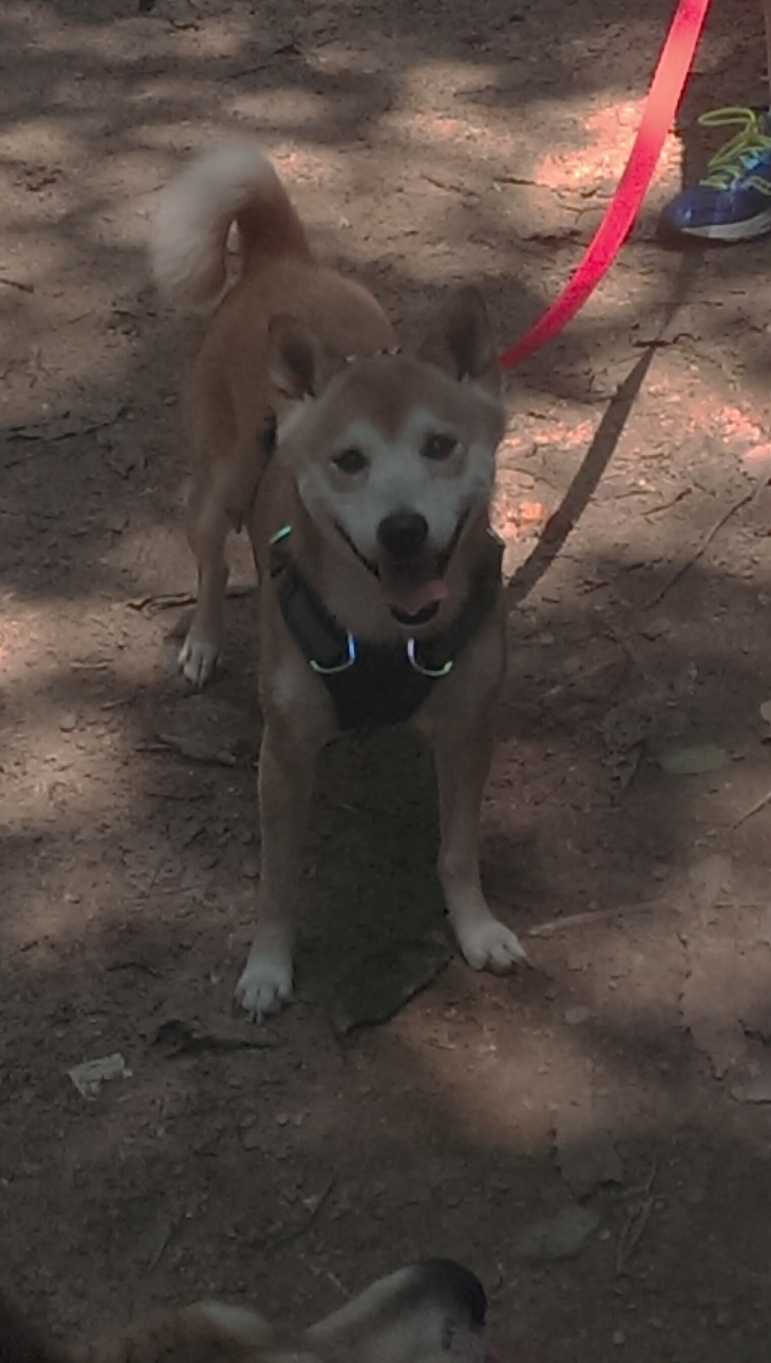 中超联赛中国队爆冷 球员状态起伏较大，中超参赛队