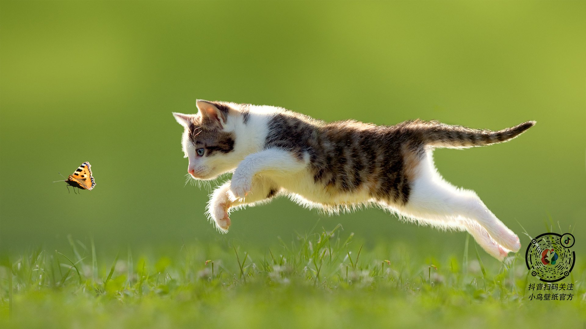 五大联赛是否提升对传接球节奏变化的识别与反制能力,传接球易犯的错误有哪些