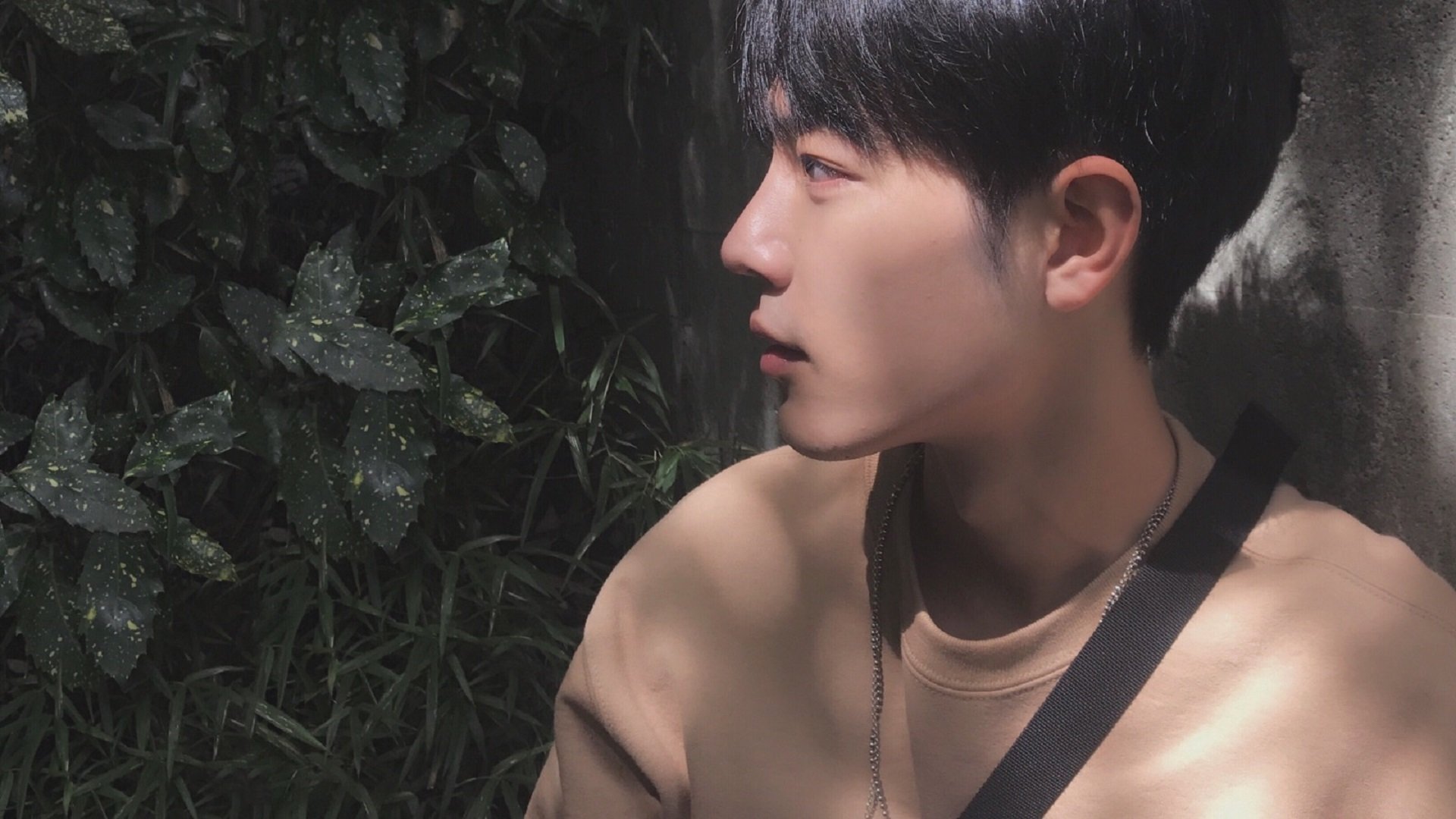 勒沃库森连续推进制造中路空档,勒沃库森lg