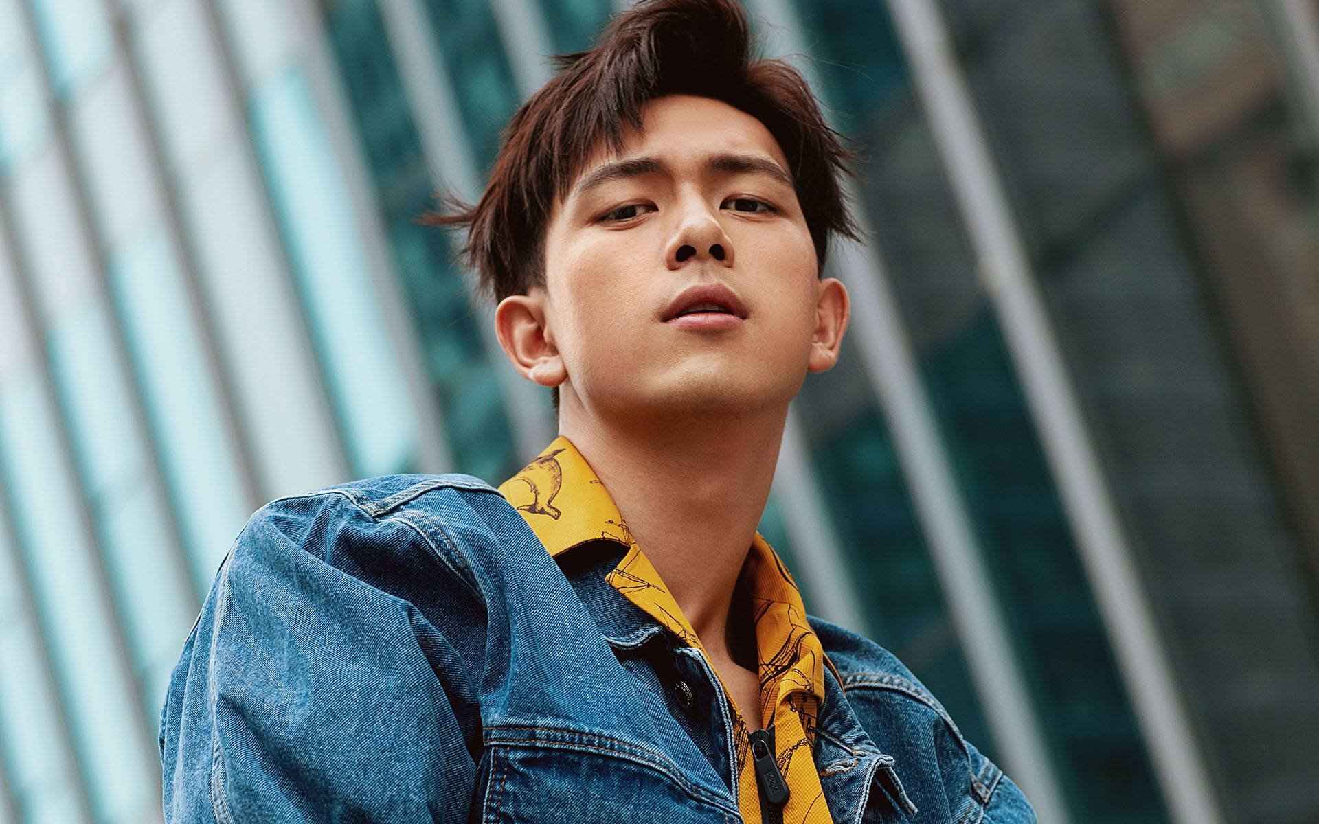 德国队2024年表现:全力以赴,挑战世界乒乓强队,德国队乒乓球成绩