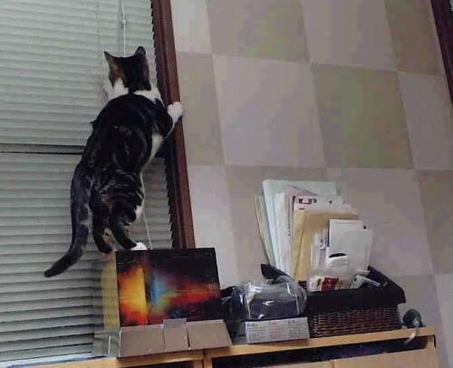 赛事数据揭示团队配合默契度,赛事数据揭示团队配合默契度的方法