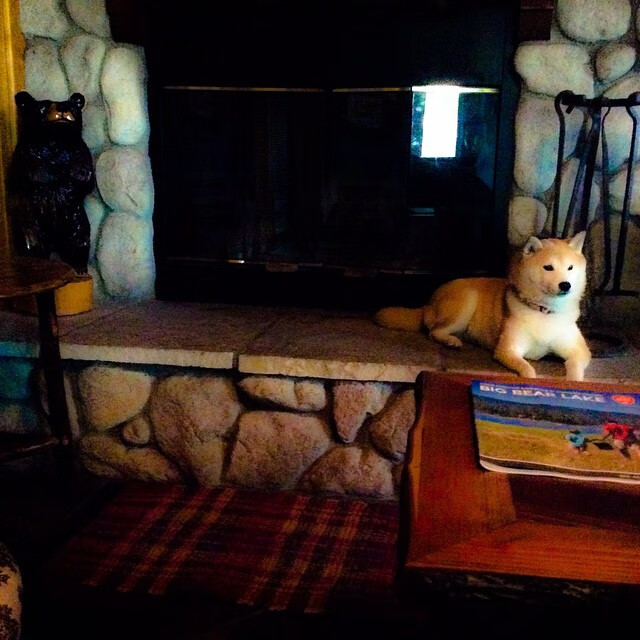 CBA季后赛全面打响各强队争夺晋级席位白热化,cba季后赛赛制规则2021