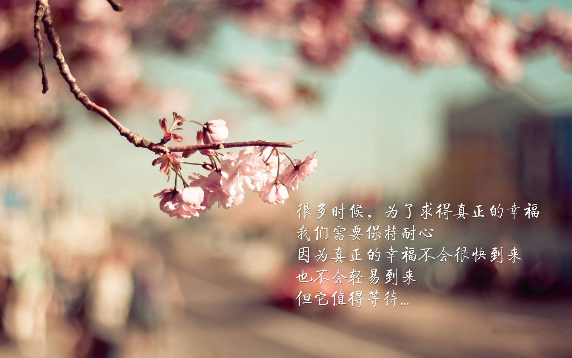 中国足球国家队构建新生代球员价值发展框架，我国足球规划球员