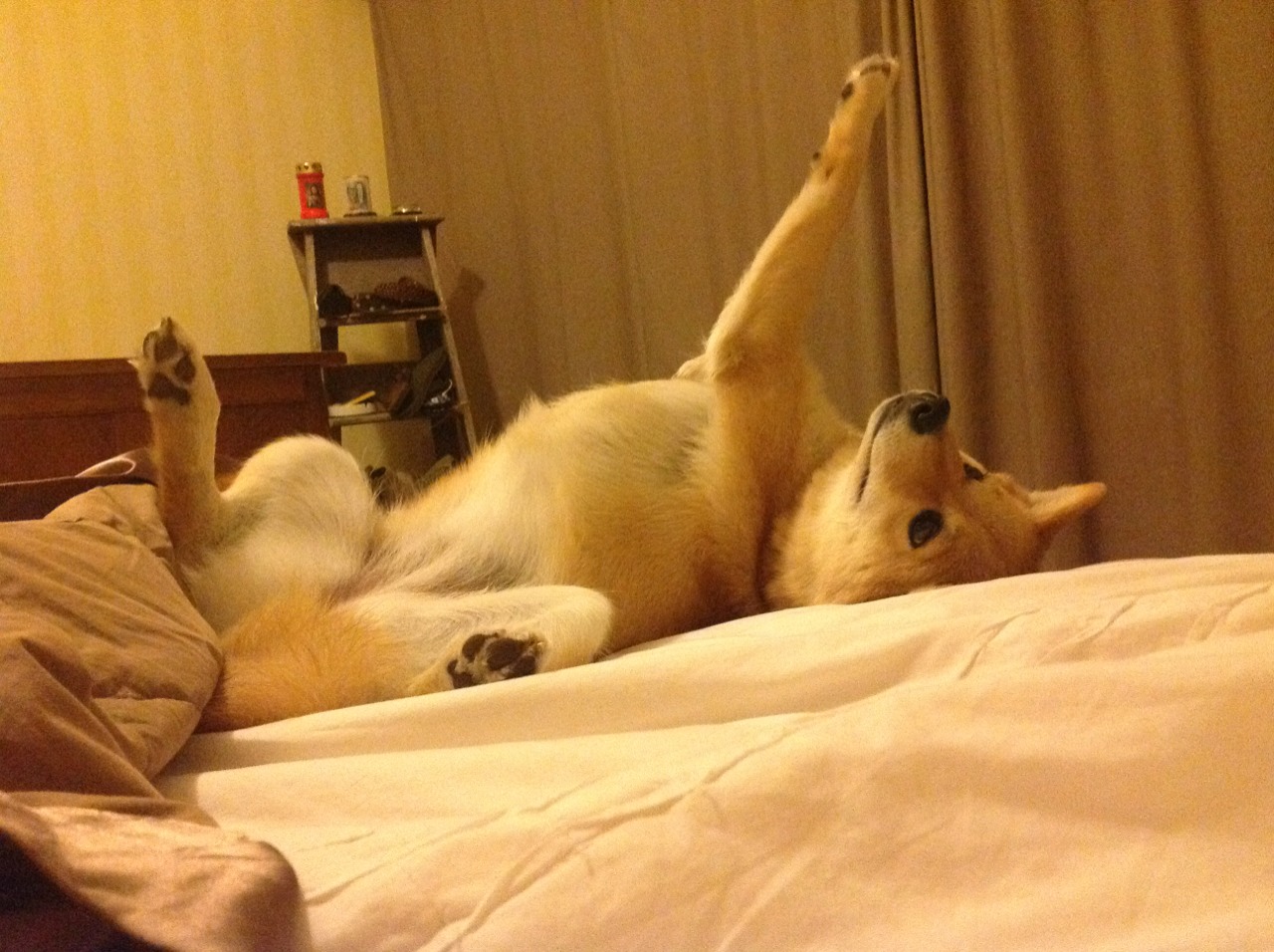 德甲攻势凌厉:目标只有一个——胜利,德甲霸主