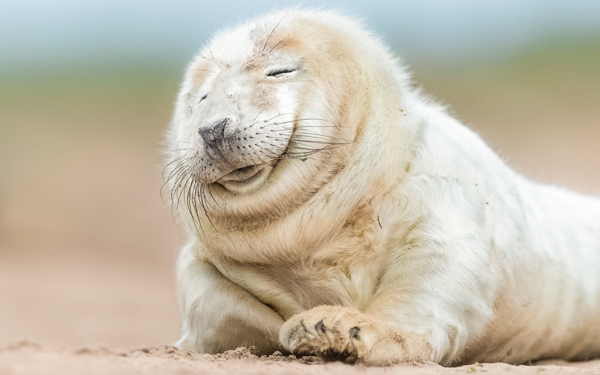 篮网替补火力不足影响后半段比赛,篮网替补席跳舞