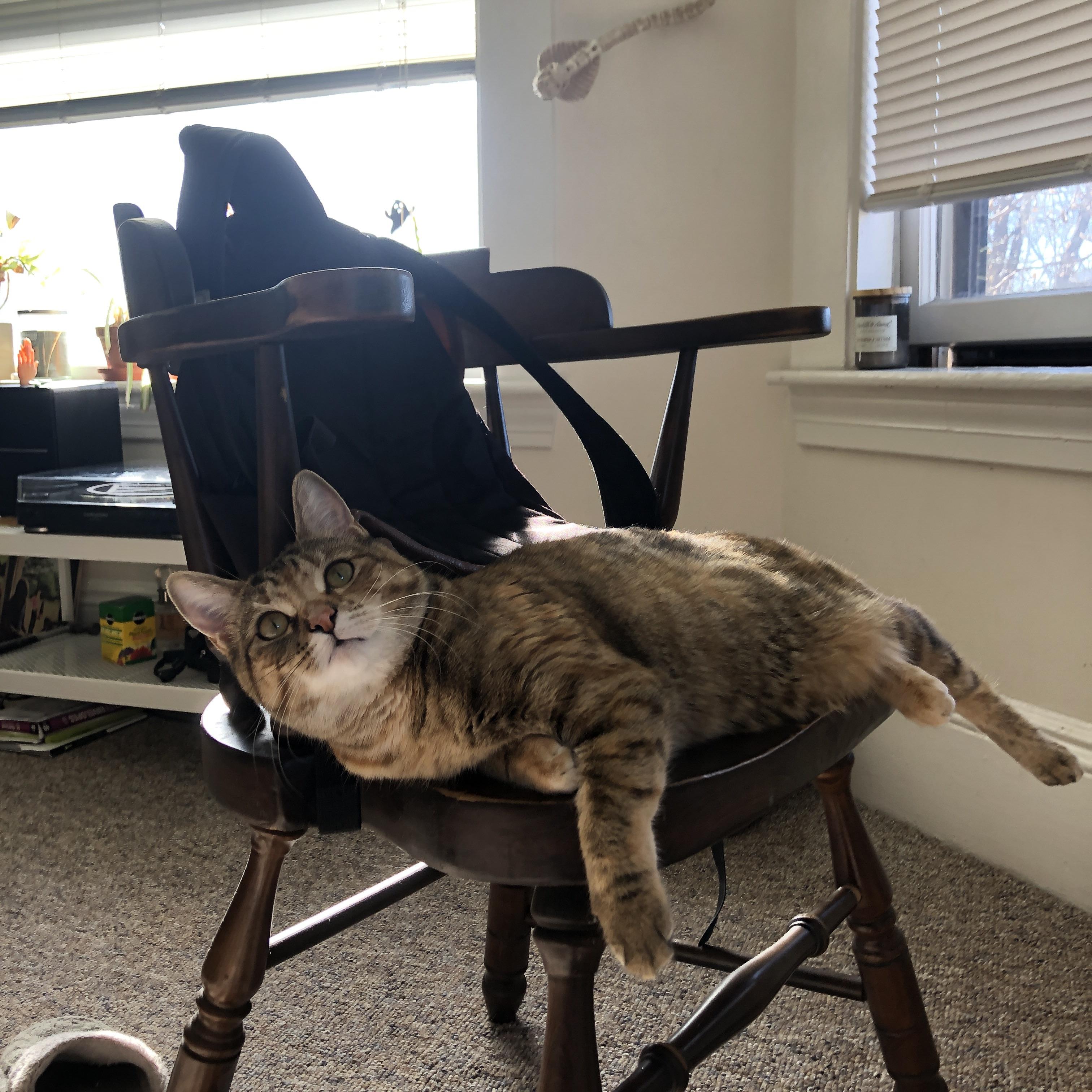 纳米比亚男篮在非洲赛场奋勇争先,晋级梦想再近一步