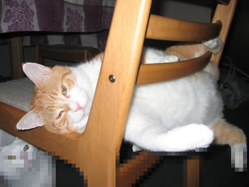 西甲伤停补时：神奇逆转引爆笑声与泪水，西甲抢断榜