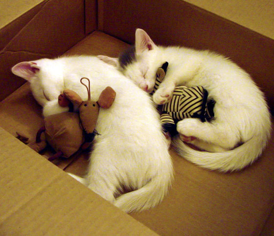 赛场入口智能安检系统上线，提高观赛安全与通行效率，智能安检设备