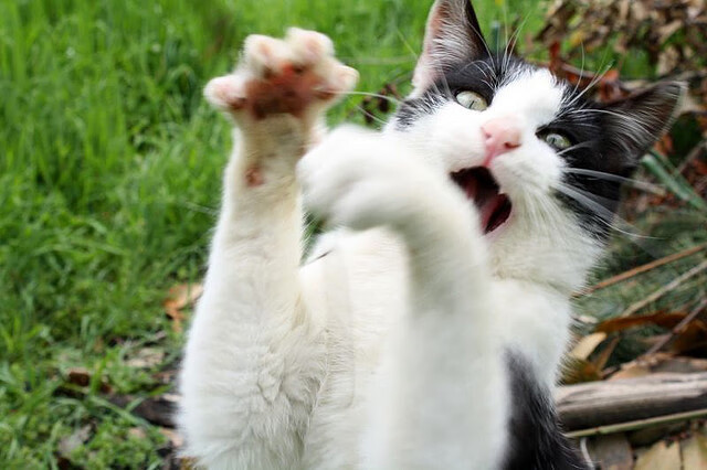 赛场入口智能安检系统上线，提高观赛安全与通行效率，智能安检设备