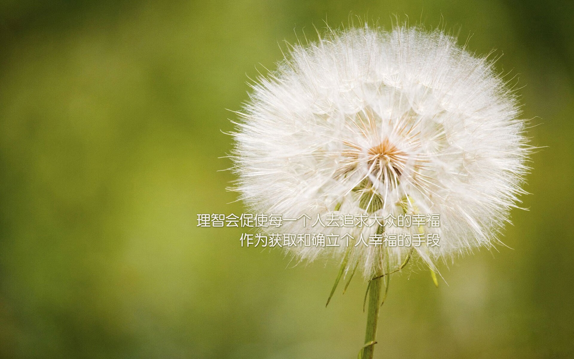 足球设施现代化升级,提升国际比赛承办能力,足球设施现代化升级,提升国际比赛承办能力