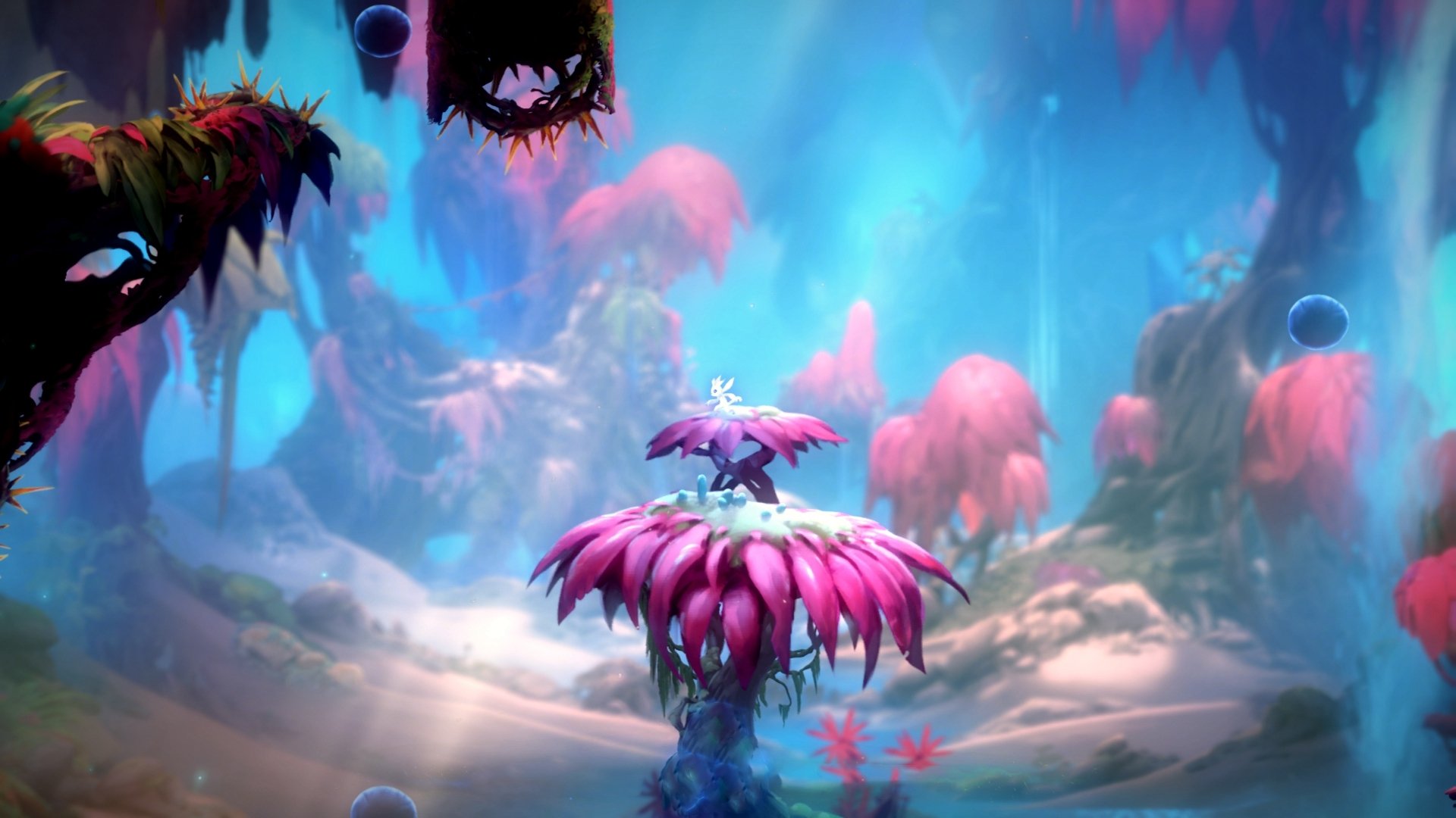 中国足球训练强度与恢复周期科学配比研究，国足的训练强度如何